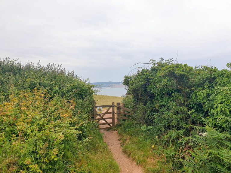 18 Fun Exmouth Walks for All Abilities