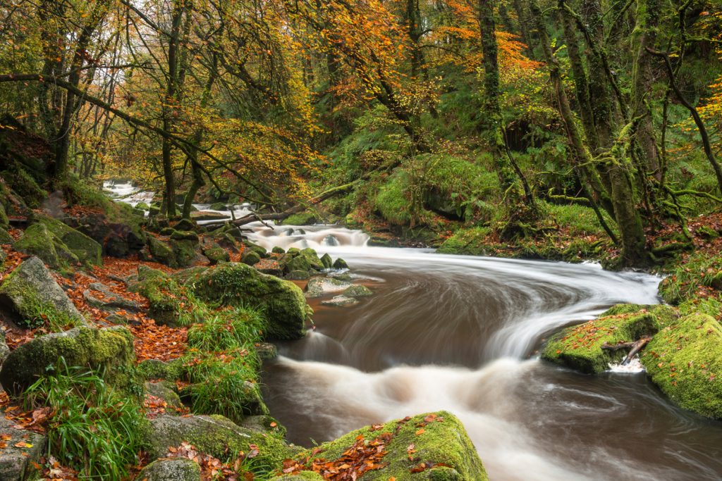 Golitha Falls, Cornwall, South West England