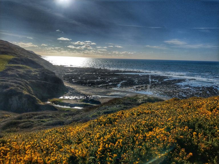 The Cornish coast near Widemouth Bay in Spring