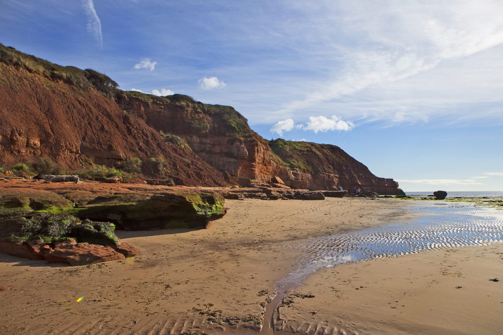 Jurassic Rocks at Orcombe Point, Exmouth, Devon