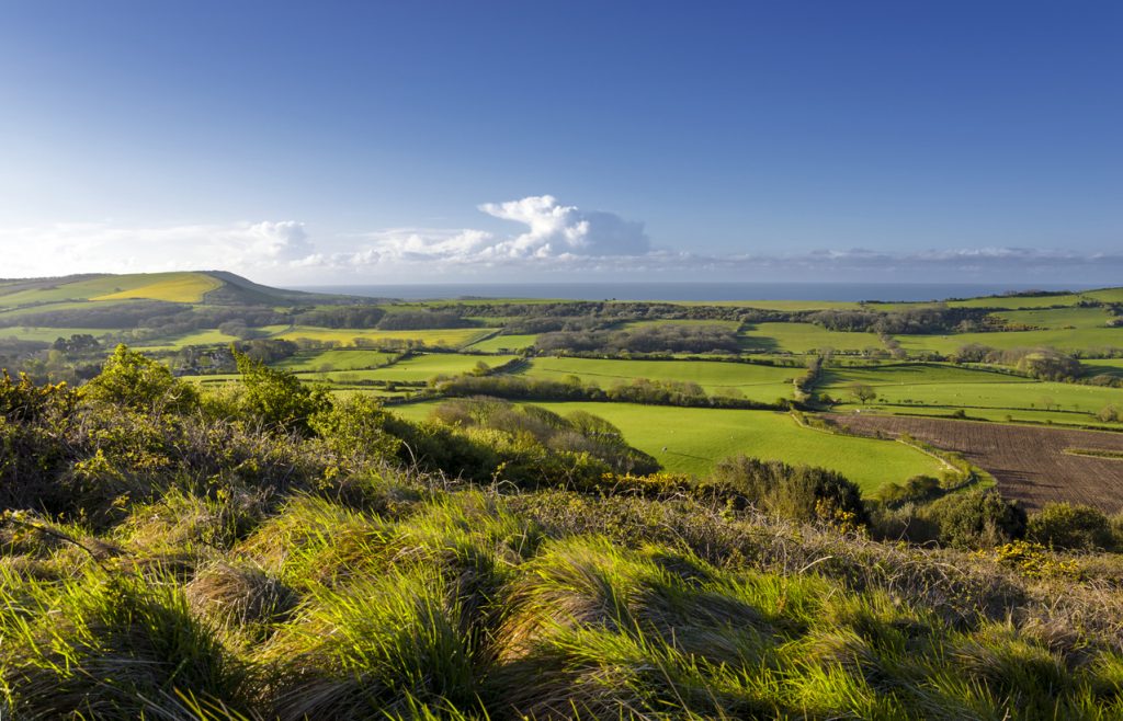 View of the Dorset countryside from the Isle of Purbeck taken from the Lulworth firing ranges.