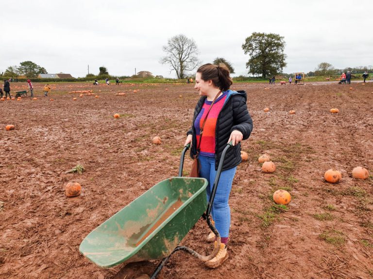 Guide to Pumpkin Picking at Farrington’s Farm (near Bristol)