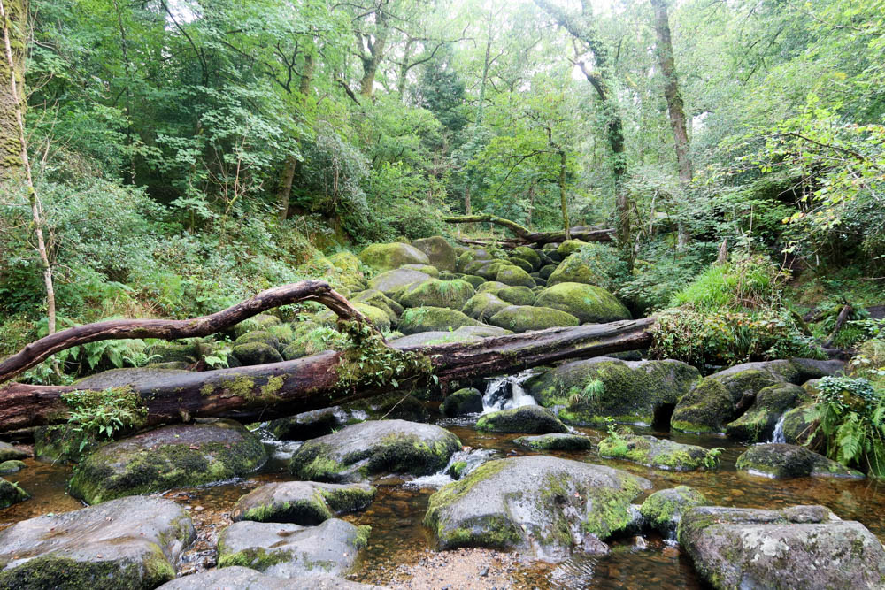 Beautiful river with boulders in Dartmoor, Devon