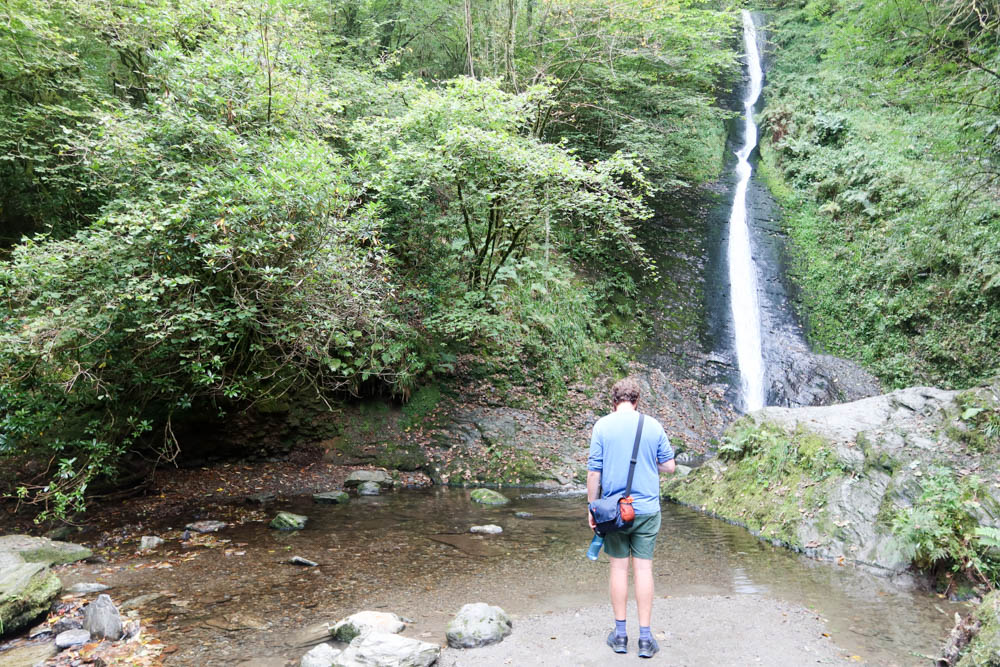 Tall waterfall in the background with shrubbery surrounding it. There's a plunge pool at the bottom and a man wearing blue shorts and t shirt stands in front.