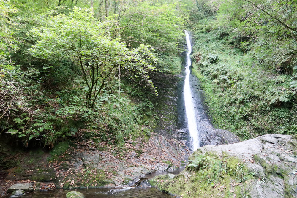 This picture features a tall, thin, white cascade of water with trees surroudning it and a plunge pool at the bottom. 