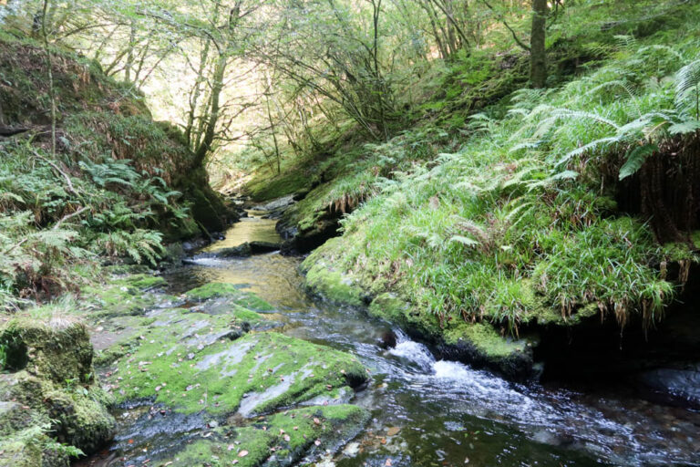 How to Visit Lydford Gorge in Dartmoor National Park