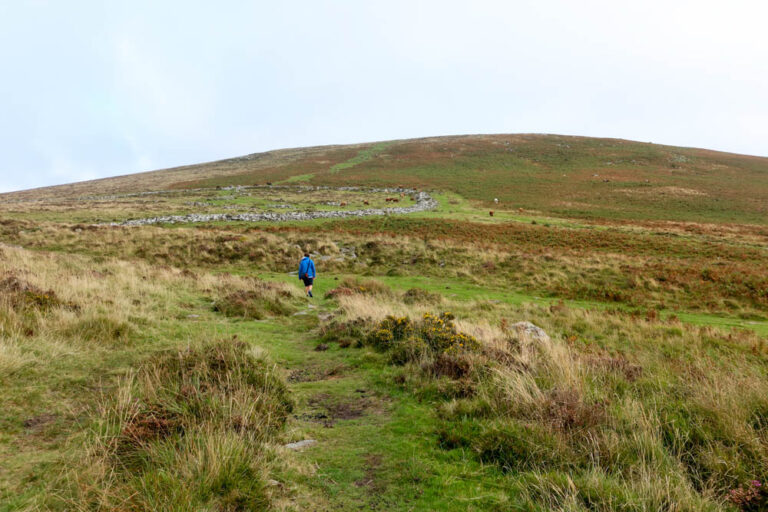 36 Incredible Things to do in Dartmoor National Park, Devon