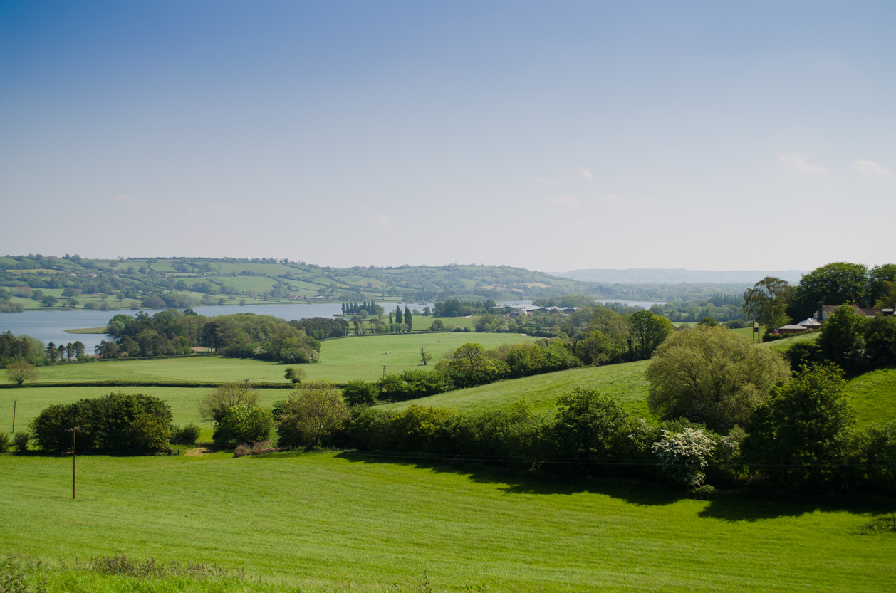 Hedgerows, fields and trees in leaf in an english coutryside landscape, in Somerset, near Blagdon, England