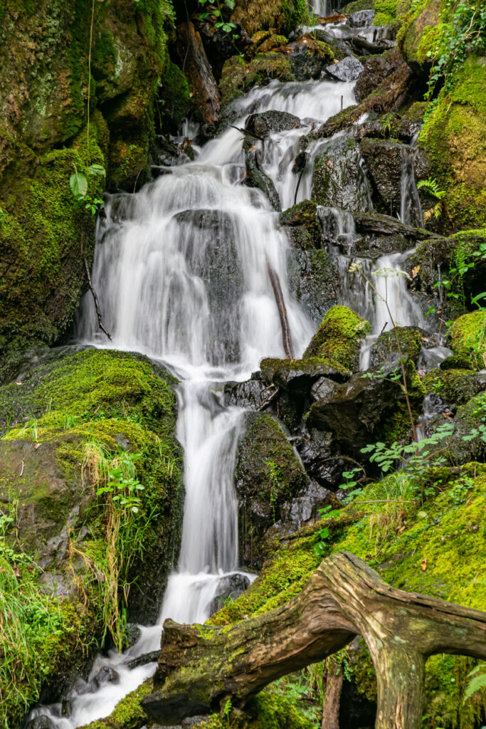 Waterfall near Burrator Reservoir, Plymouth, Dartmoor, Devon