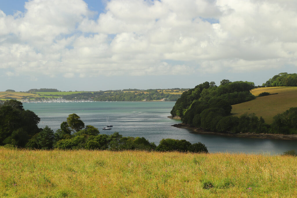 Flora and miniature fauna in Trelissick gardens in south Cornwall on the river Fal