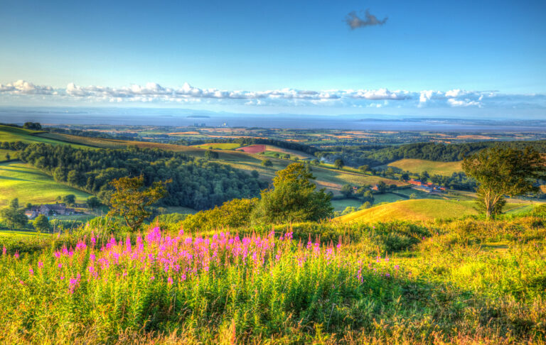 Things to do in the Quantock Hills AONB (and full guide)