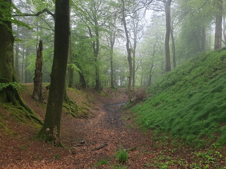 22 best things to do in East Devon (it's underrated!)