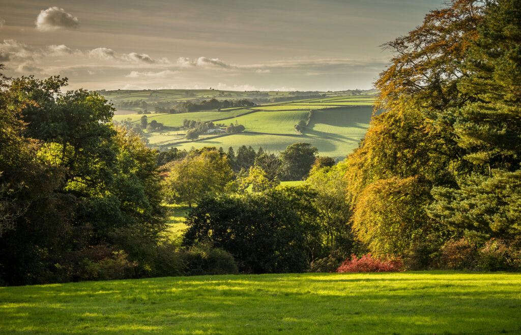 View across the rolling hills of Devon at Knightshayes Court