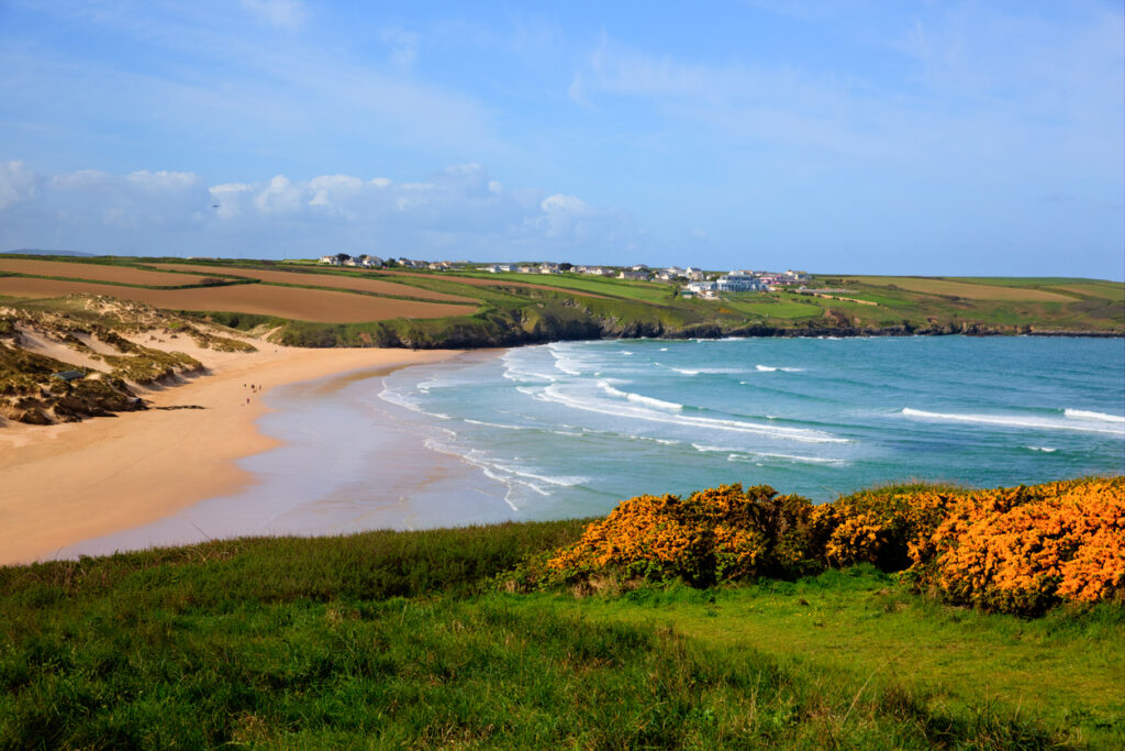 Crantock bay and beach North Cornwall England UK near Newquay with waves in spring and yellow gorse