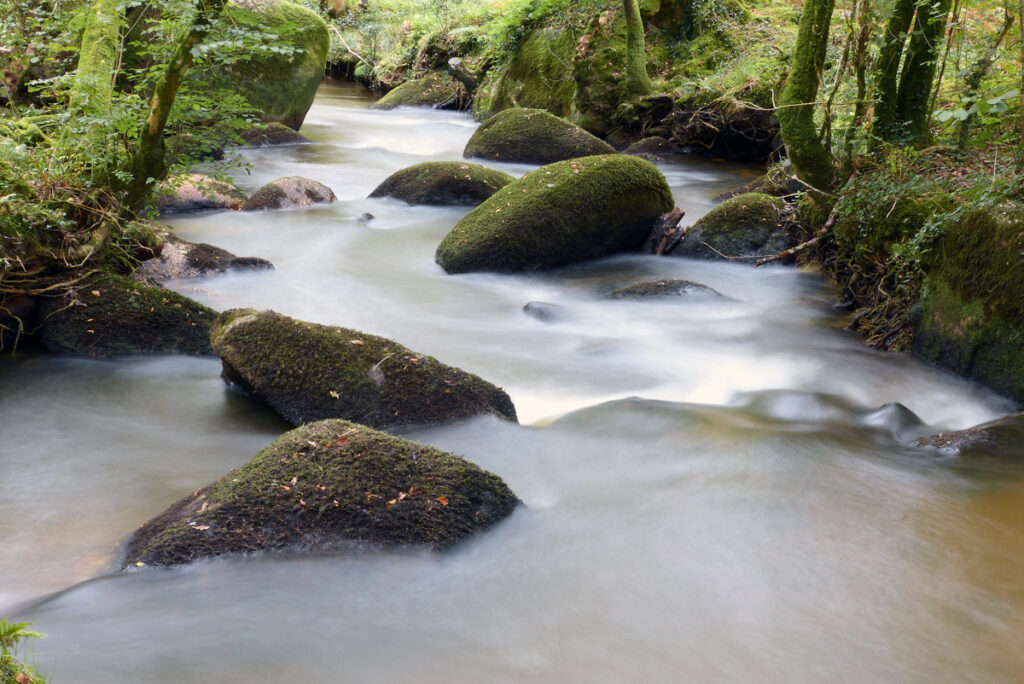 A view of the rapids with moss-strewn boulders along a river at Luxulyan Valley, with mossy trees in the background.