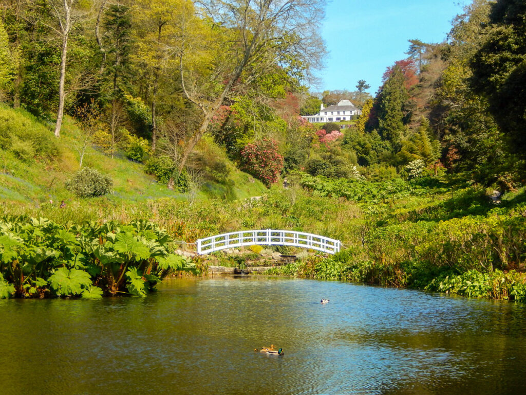 TREBAH GARDENS, CORNWALL, ENGLAND - MAY 2016: Lake with a white wooden bridge and trees in the background