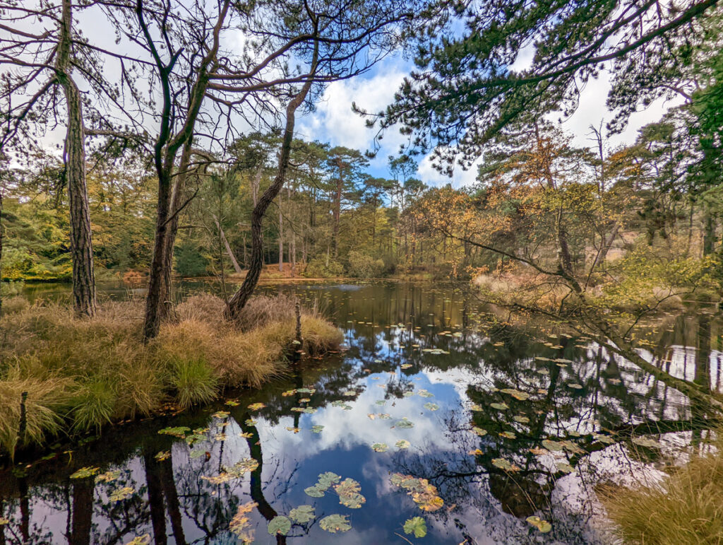 The beautiful Bystock Pools close to the town of Exmouth