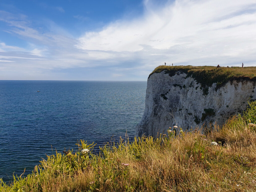 Clifftops at Old Harry Rocks, white chalk cliff in the background