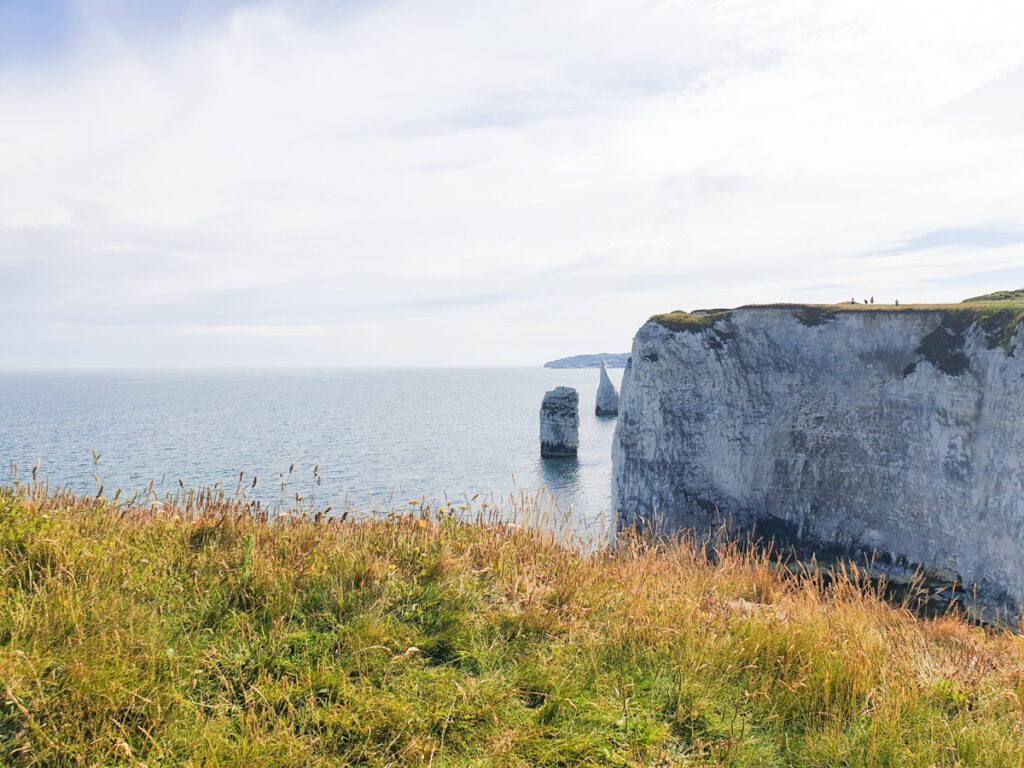 Chalk stacks out to sea at Old Harry Rocks