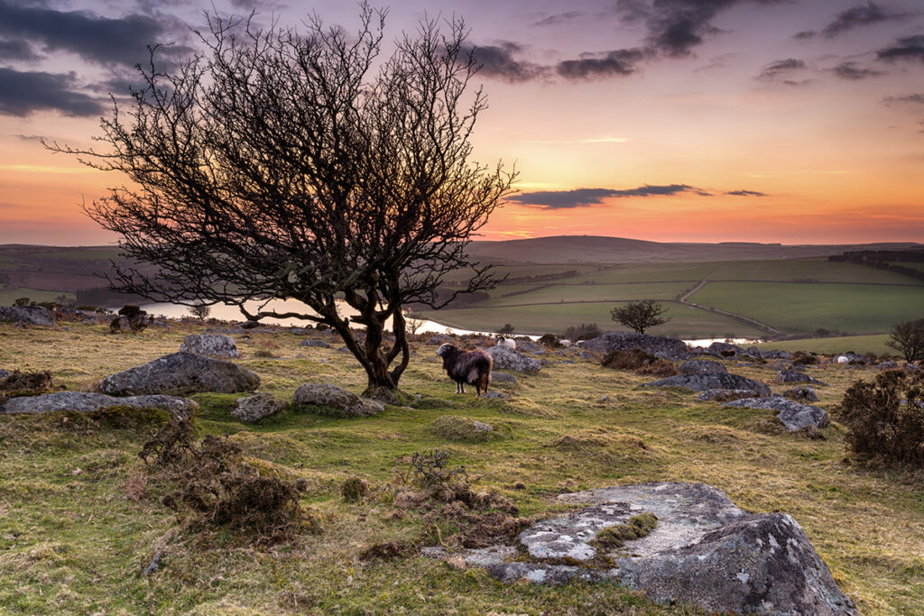 Night falls over Bodmin Moor in Cornwall, from Tregarrick Tor overlooking Siblyback Lake