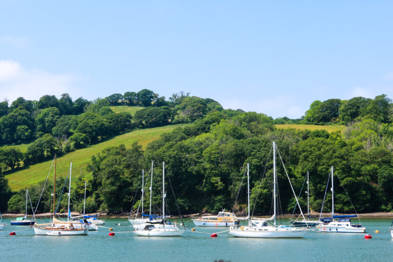 Totnes to Dartmouth boat trips – all you need to know