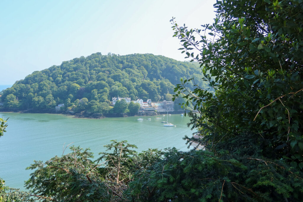 View on the South West Coast Path between Kingswear and Brixton