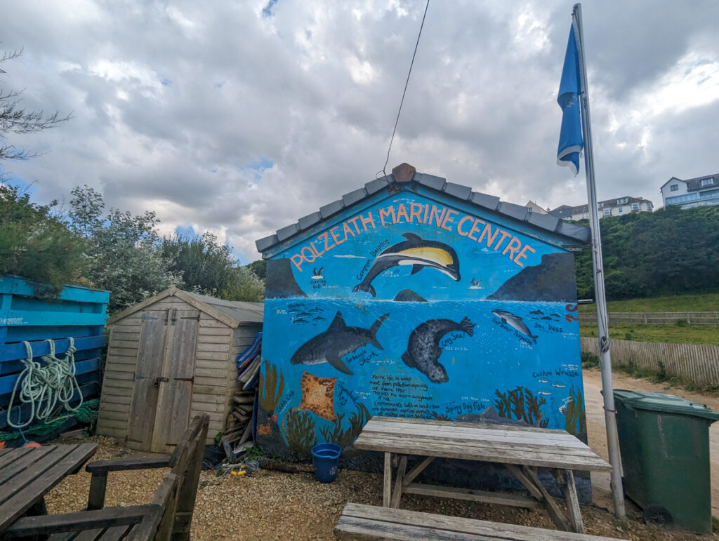 Marine conservation centre in Polzeath