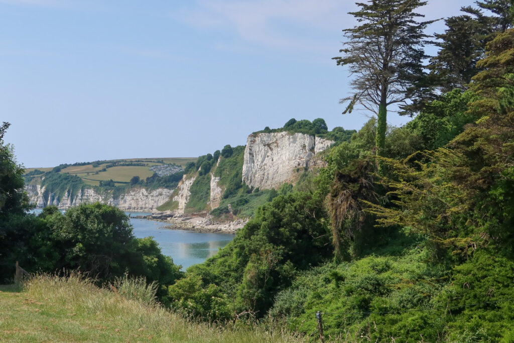 View of rugged cliffs through the trees, with a patch of sea and with trees and bushes on the top of the cliff.