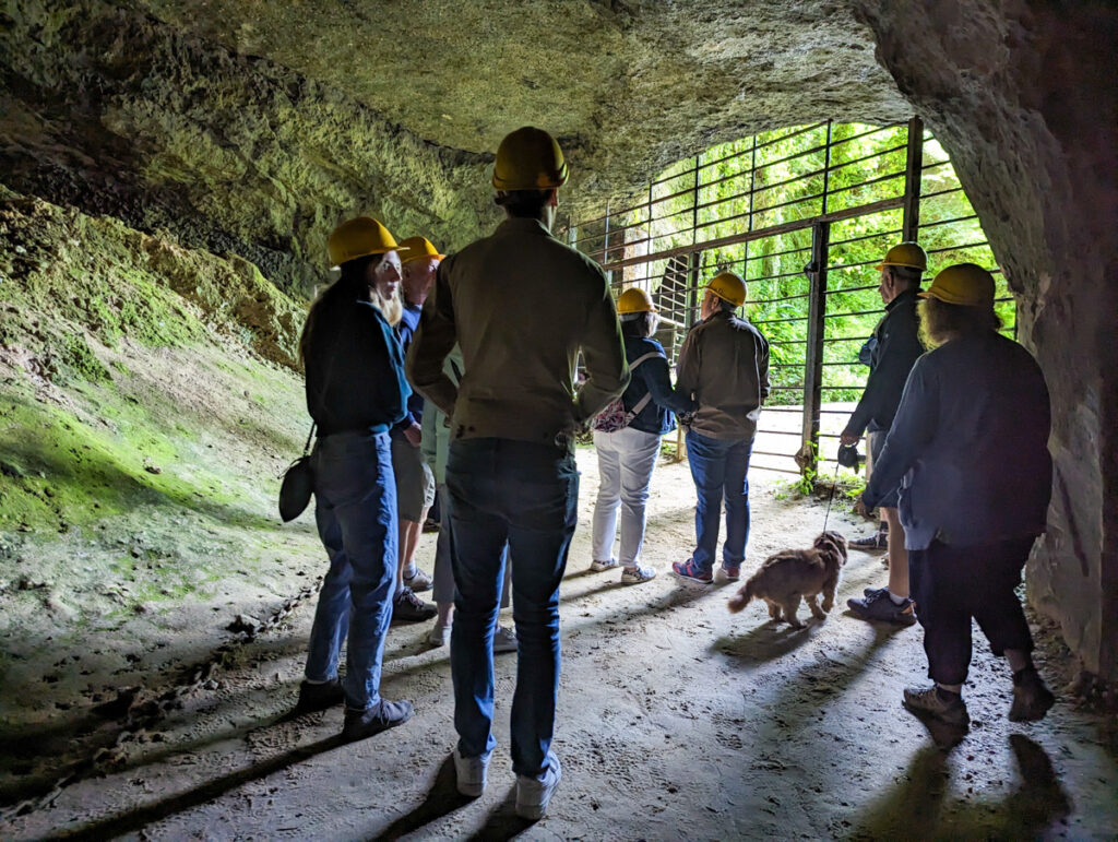 The inside of Beer Quarry Caves, a group of people are standing by the entrance wearing yellow hard hats and a dog.