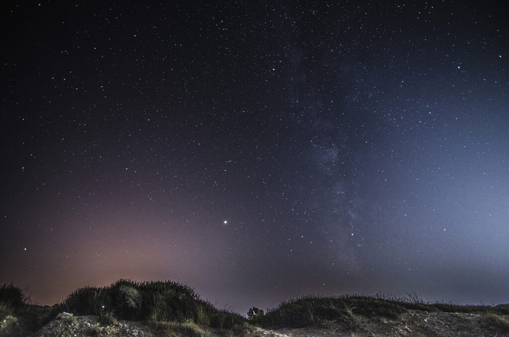 Starry night sky with the milky way seen from the coast with vegetation in the foreground
