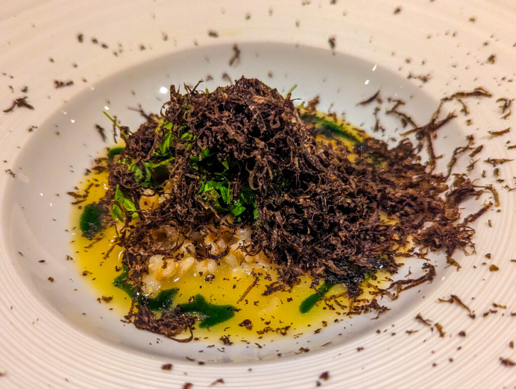 A creatively presented dish with generous shavings of truffle over a bed of creamy risotto, evoking a sense of fine dining and culinary artistry.